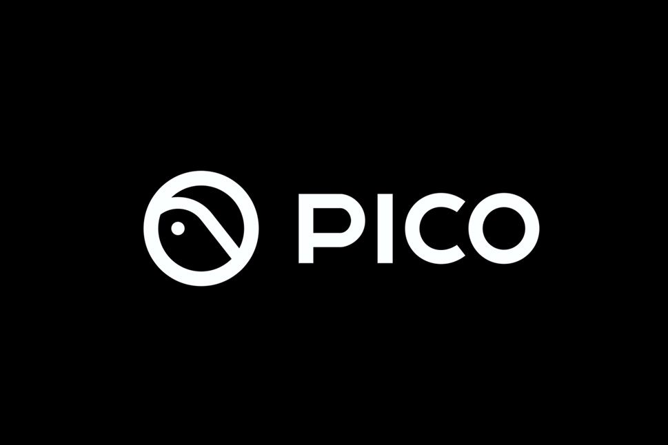 Pico Space Pro Porn Guide - 2026!