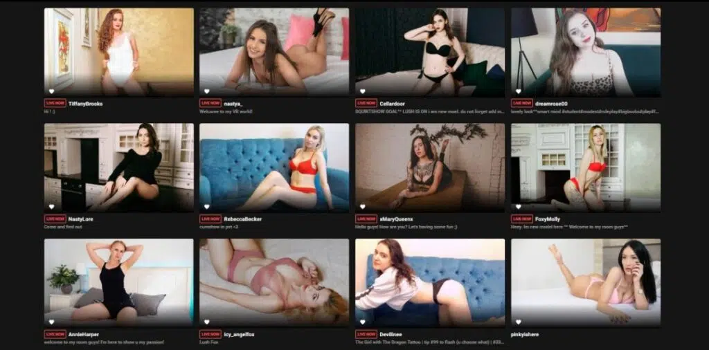 Elenco dei modelli slrcams